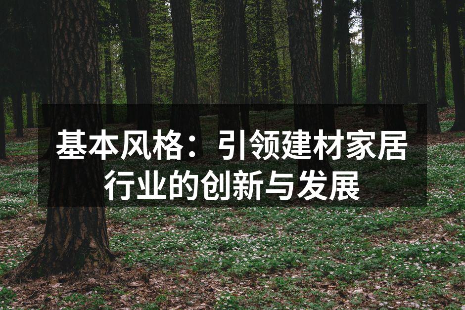 基本风格：引领建材家居行业的创新与发展