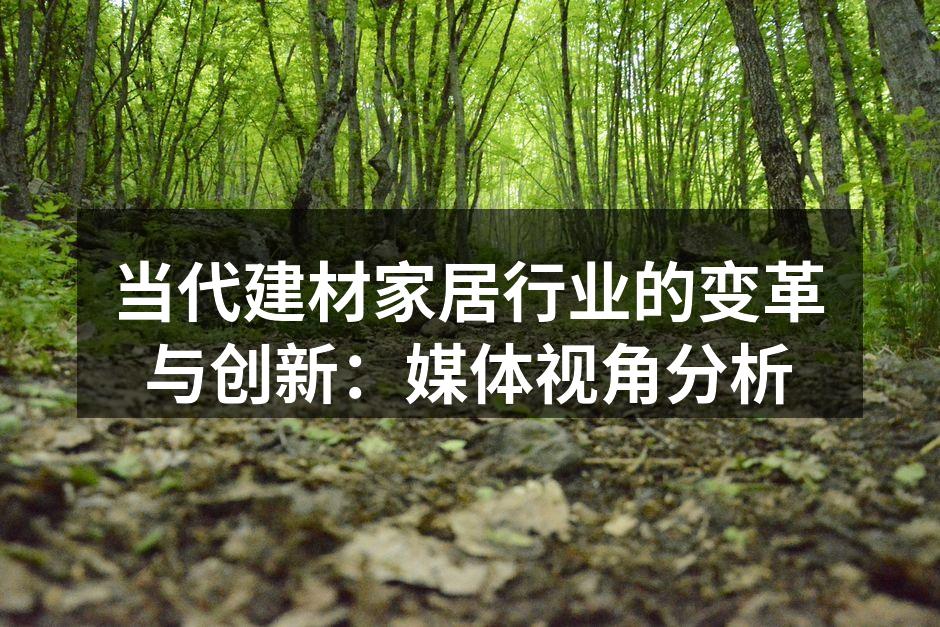 当代建材家居行业的变革与创新：媒体视角分析